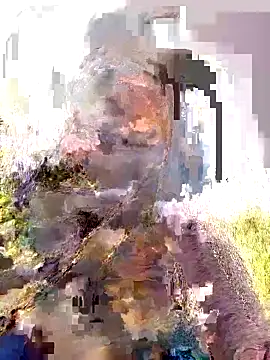 Pallavi hote online show from February 22, 2026, 6:02 am