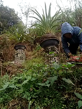 Snapshot of nelina_12345 chatting on February 15, 2026, 9:08 am nelina 12345 online show from February 15, 2026, 9:08 am