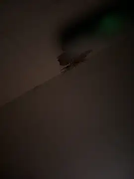 Valentinacouple online show from March 7, 2026, 7:16 am