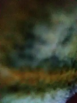 Snapshot of Avinh_09 chatting on February 15, 2026, 4:31 am Avinh 09 online show from February 15, 2026, 4:31 am