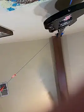 Snapshot of Link_and_Saria chatting on March 1, 2026, 12:29 pm Link and Saria online show from March 1, 2026, 12:29 pm