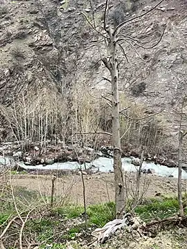 Snapshot of TurkeyMen chatting on April 8, 2026, 9:09 am TurkeyMen online show from April 8, 2026, 9:09 am