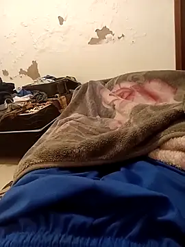 Mineirinho 85 online show from April 12, 2026, 5:01 am