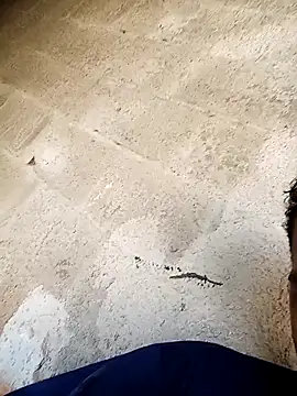 negopreto  online show from February 24, 2026, 7:34 pm