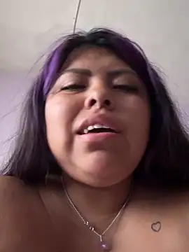 perritarebeldee online show from March 14, 2026, 12:21 pm