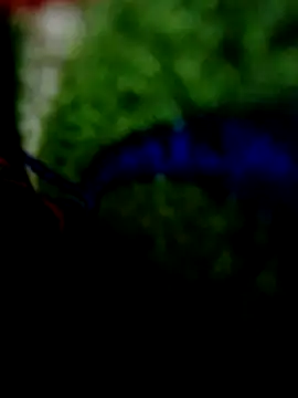 wifedesi7050 online show from April 20, 2026, 8:21 pm