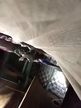 Snapshot of Big-all012 chatting on February 23, 2026, 9:50 am Big-all012 online show from February 23, 2026, 9:50 am