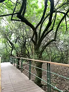 The Conquer online show from April 10, 2026, 6:34 pm