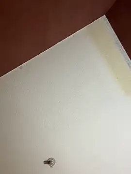 MoonGoddess424 online show from February 24, 2026, 4:10 am