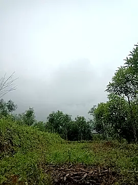 lyly sexx online show from April 2, 2026, 2:20 am