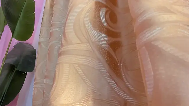 evelyn  rose1 online show from March 8, 2026, 2:04 am