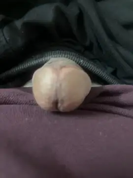 veerakamam online show from February 28, 2026, 2:45 am