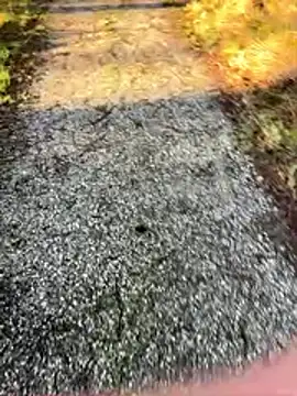 Sweetlauu online show from March 1, 2026, 7:54 am