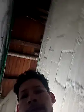 Goriluzdelam online show from April 4, 2026, 2:14 pm