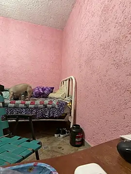 deivchoky online show from April 14, 2026, 1:00 am