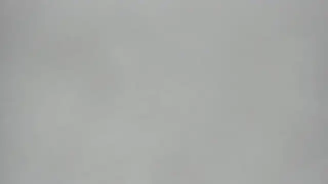 KoralCruz  online show from March 24, 2026, 4:01 pm