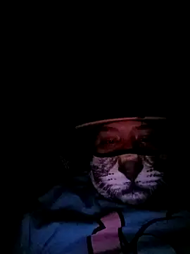 Snapshot of Charlygunslove chatting on March 3, 2026, 1:34 am Charlygunslove online show from March 3, 2026, 1:34 am