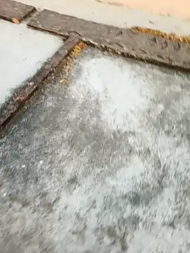 Snapshot of Desii_rockstarr chatting on March 11, 2026, 1:11 am Desii rockstarr online show from March 11, 2026, 1:11 am