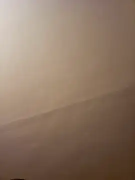 dufatcock online show from April 10, 2026, 8:02 pm