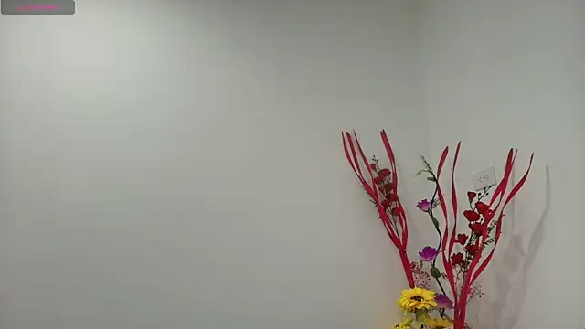 carlaantonellii online show from May 16, 2026, 2:16 pm