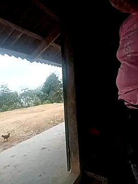 kalara kail online show from March 31, 2026, 11:05 pm