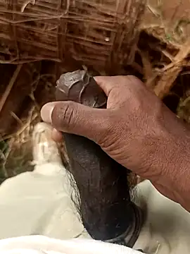 sanju 5418 online show from April 19, 2026, 10:03 am