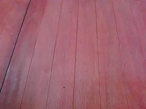 Annisof000 online show from April 14, 2026, 6:47 pm