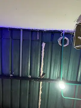 torontoli online show from March 30, 2026, 2:45 am