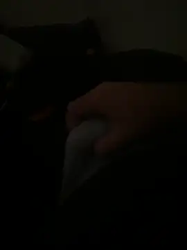 yassineamri online show from March 28, 2026, 1:22 pm