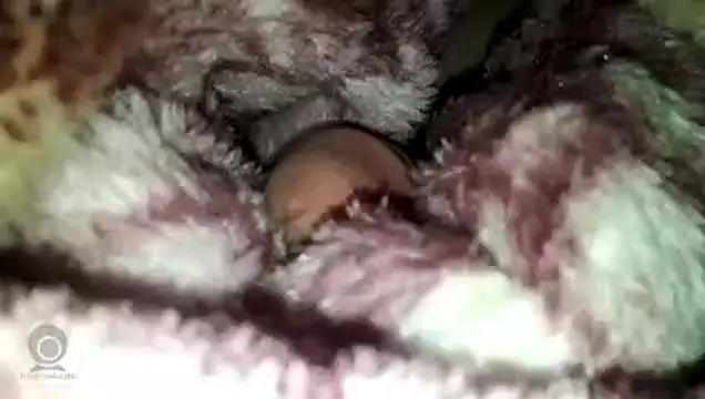 yarar can online show from March 27, 2026, 9:47 pm