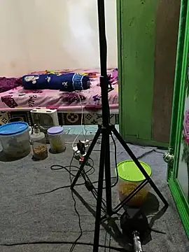 Snapshot of tukangcoli31 chatting on April 13, 2026, 12:05 am tukangcoli31 online show from April 13, 2026, 12:05 am