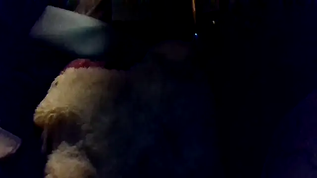 shag369 online show from April 30, 2026, 5:36 am