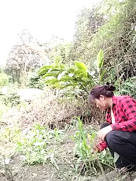 Giang-mylove online show from April 4, 2026, 2:32 am