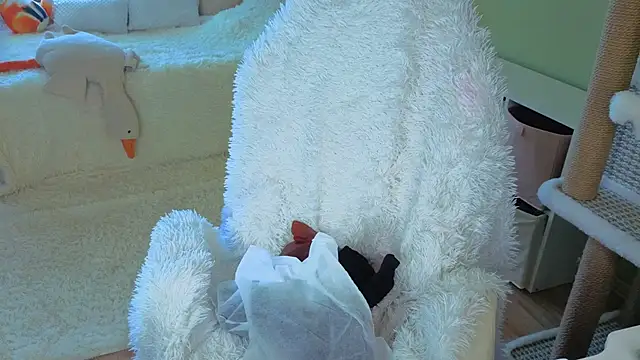 Regina Noire online show from April 9, 2026, 10:31 am