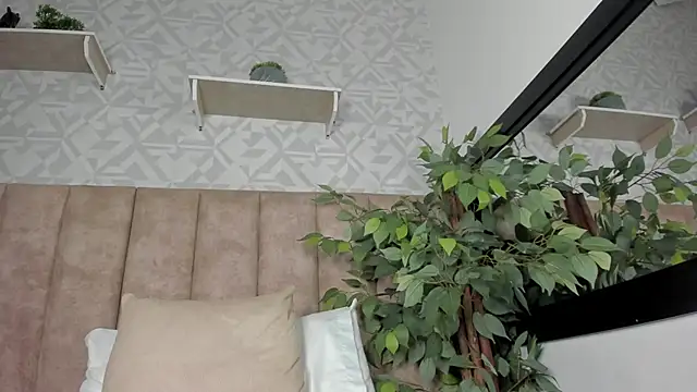 GrayHall online show from April 30, 2026, 8:42 am
