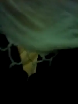 yourdreamman007  online show from March 31, 2026, 11:27 pm