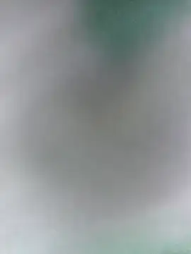 Snapshot of Bristy_BigBoobs chatting on April 11, 2026, 4:17 am Bristy BigBoobs online show from April 11, 2026, 4:17 am