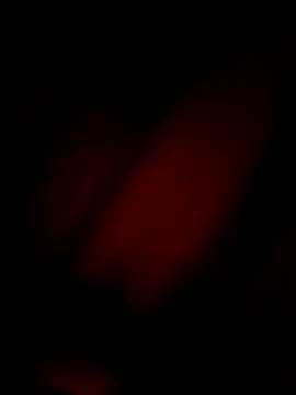 Snapshot of Eivar003 chatting on April 3, 2026, 4:54 am Eivar003 online show from April 3, 2026, 4:54 am