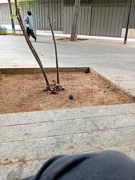 Snapshot of biga00 chatting on April 11, 2026, 3:38 pm biga00 online show from April 11, 2026, 3:38 pm