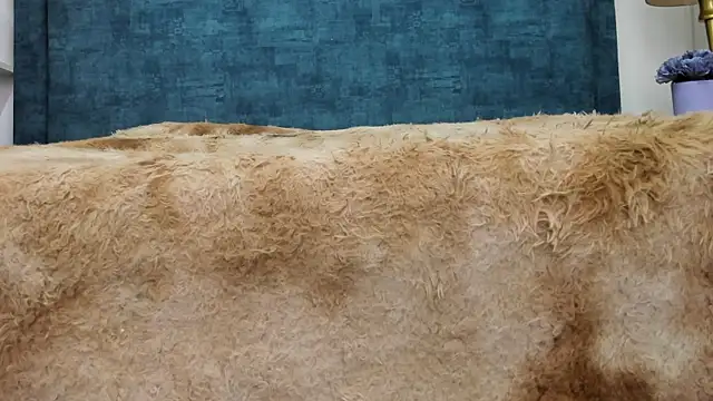 IsadoraVex online show from April 14, 2026, 12:44 pm