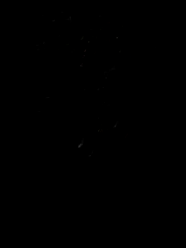 Rocky pune online show from April 8, 2026, 1:55 pm