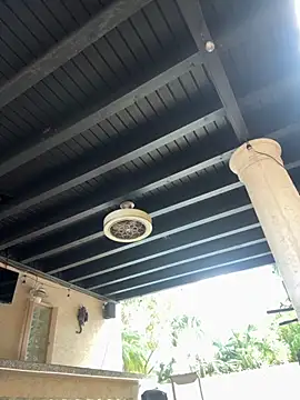 youngwildfreee online show from April 9, 2026, 8:25 pm