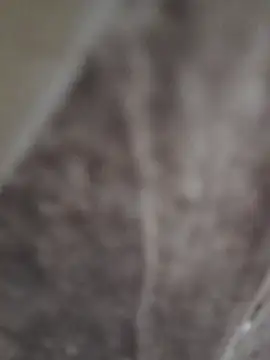 Snapshot of sk022 chatting on April 15, 2026, 6:26 pm sk022 online show from April 15, 2026, 6:26 pm