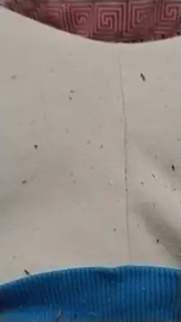 diego69caxondo online show from April 22, 2026, 1:30 am