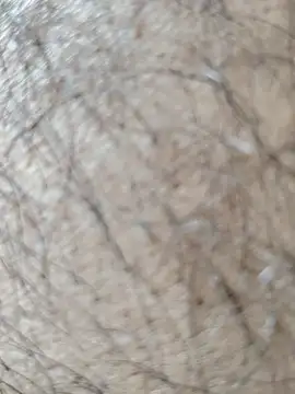 Virat75559 online show from April 21, 2026, 7:47 am