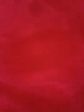 bela14 online show from June 6, 2026, 12:54 pm