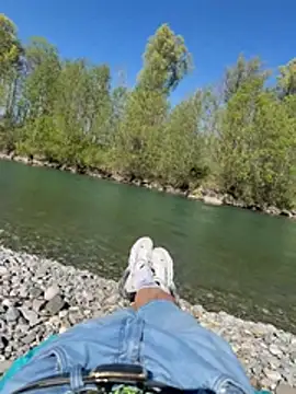 Wolf 18cm online show from April 25, 2026, 2:25 pm