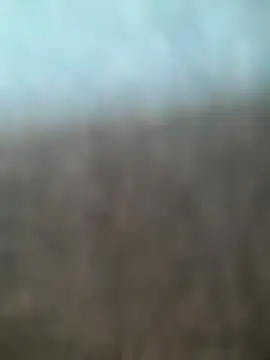 Snapshot of kasalsecrets chatting on July 2, 2026, 5:52 pm kasalsecrets online show from July 2, 2026, 5:52 pm