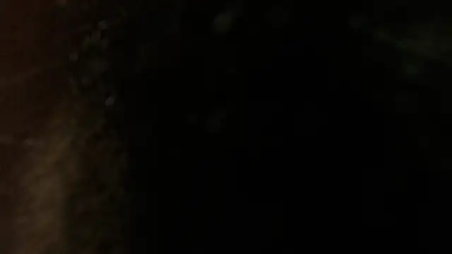 sweet barbiie online show from January 12, 2025, 11:58 pm