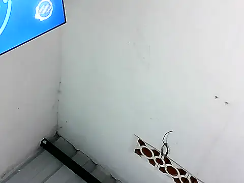 Snapshot of alice_morr chatting on July 21, 2026, 4:48 am alice morr online show from July 21, 2026, 4:48 am